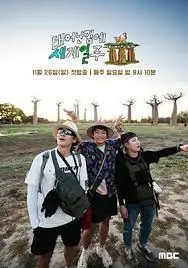 《既然出生就环游世界3》：兄弟情深，跨越万里，寻找真正的自我与快乐！